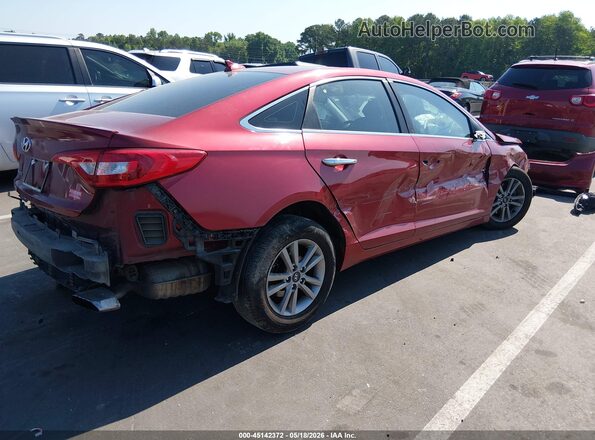 5NPE24AF9GH360956 2016 HYUNDAI SONATA Бордовый Задняя правая четверть