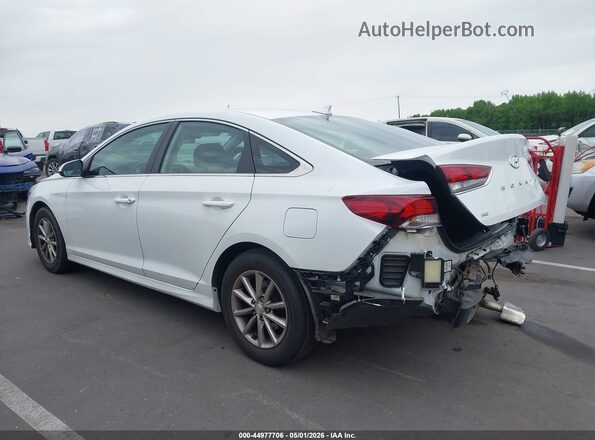 5NPE24AF9KH745331 2019 HYUNDAI SONATA White Задня ліва чверть