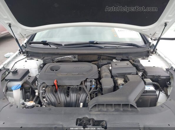 5NPE24AF9KH745331 2019 HYUNDAI SONATA White Вид ззаду