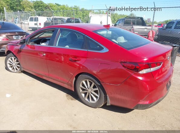 5NPE24AF9KH798420 2019 HYUNDAI SONATA Red Հետևի ձախ