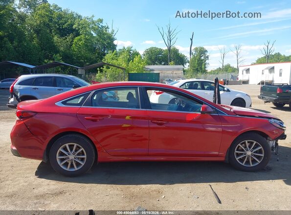 5NPE24AF9KH798420 2019 HYUNDAI SONATA Red Սալոնի հետևի տեսք