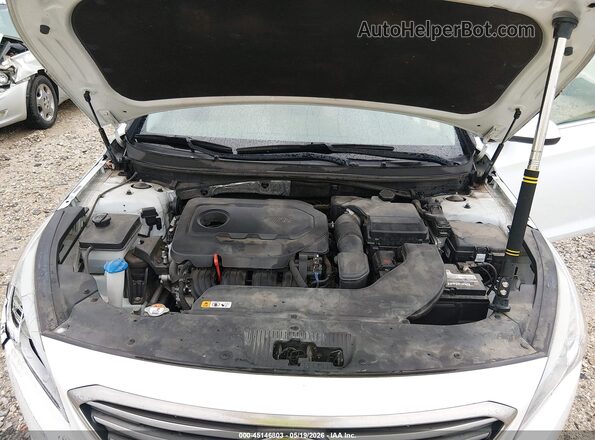 5NPE24AFXGH361971 2016 HYUNDAI SONATA White Rear view
