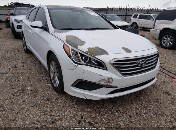 5NPE24AFXGH361971 2016 HYUNDAI SONATA White Front view