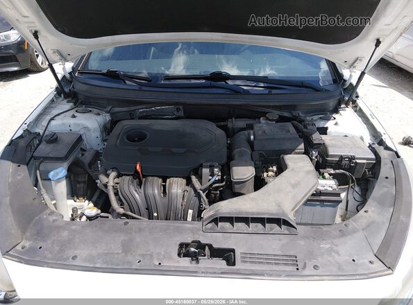 5NPE34AF0KH794673 2019 HYUNDAI SONATA White 