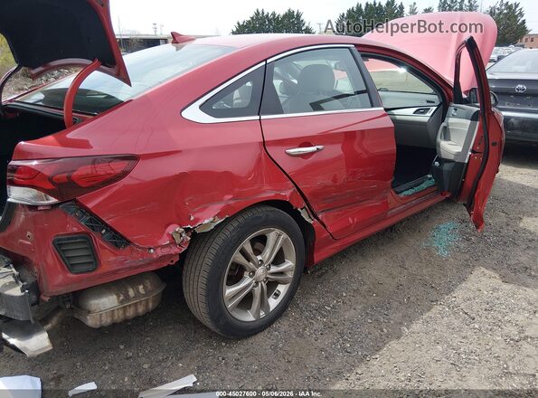 5NPE34AF0KH812704 2019 HYUNDAI SONATA Красный Вид спереди