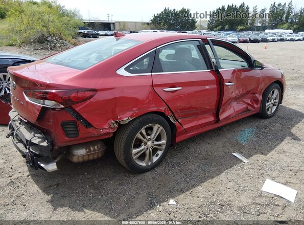 5NPE34AF0KH812704 2019 HYUNDAI SONATA Красный Задняя правая четверть