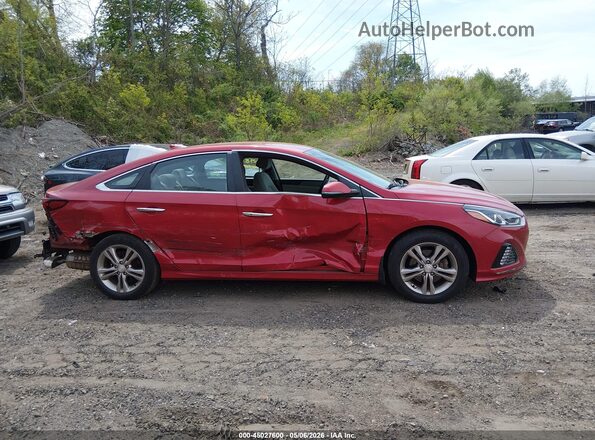 5NPE34AF0KH812704 2019 HYUNDAI SONATA Красный Панорамный вид салона 360°