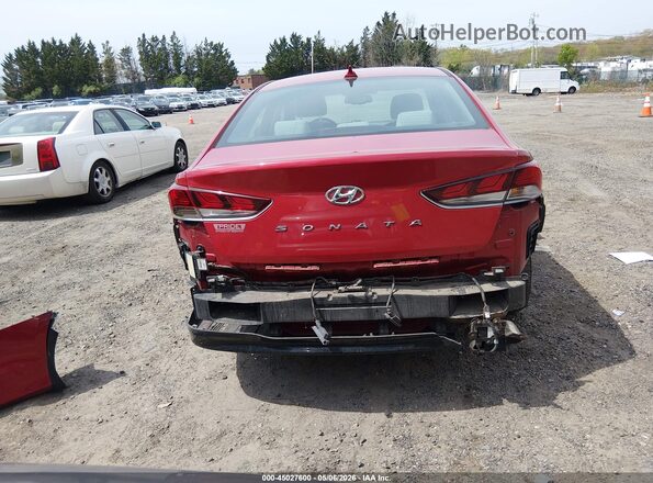 5NPE34AF0KH812704 2019 HYUNDAI SONATA Красный 