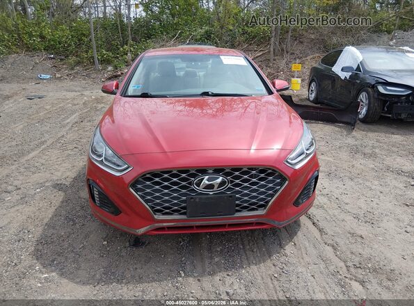 5NPE34AF0KH812704 2019 HYUNDAI SONATA Красный Вид задней части салона