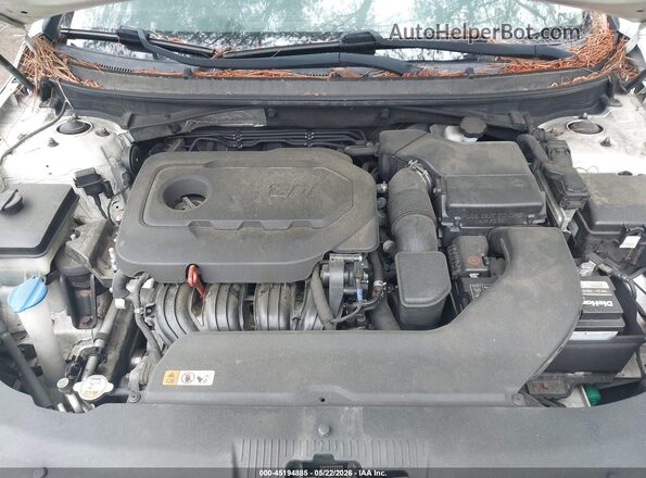 5NPE34AF2GH436109 2016 HYUNDAI SONATA White Вид ззаду