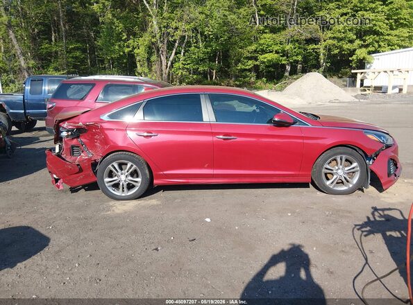 5NPE34AF2KH784629 2019 HYUNDAI SONATA Red უკანა სალონის ხედი