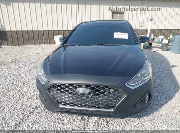 5NPE34AF3KH731602 2019 HYUNDAI SONATA Черный 
