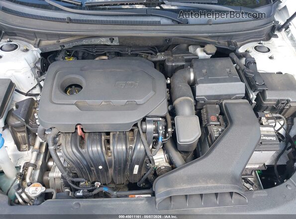 5NPE34AF3KH732023 2019 HYUNDAI SONATA White Vista trasera