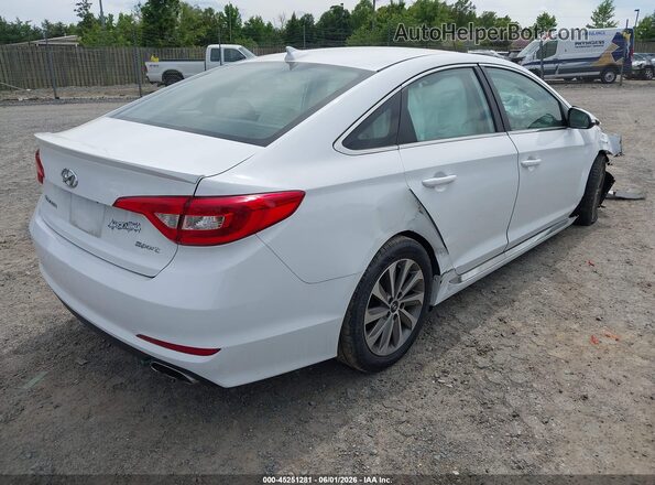 5NPE34AF4GH299559 2016 HYUNDAI SONATA White Задня права чверть