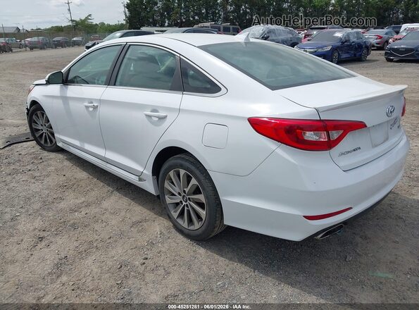 5NPE34AF4GH299559 2016 HYUNDAI SONATA White Задня ліва чверть