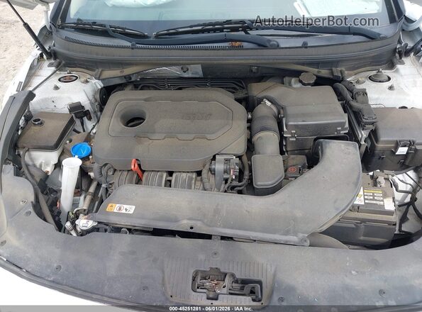 5NPE34AF4GH299559 2016 HYUNDAI SONATA White Вид ззаду