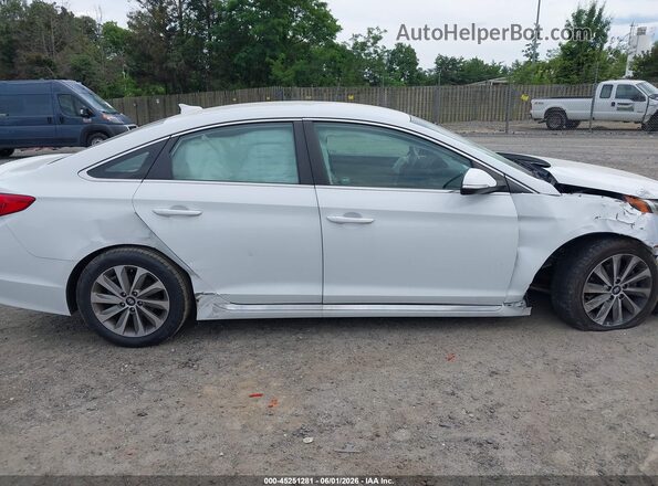 5NPE34AF4GH299559 2016 HYUNDAI SONATA White Вид задньої частини салону