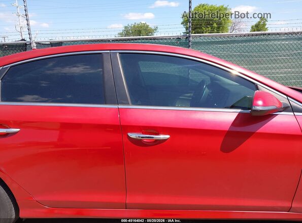 5NPE34AF4JH648565 2018 HYUNDAI SONATA Красный Вид задней части салона