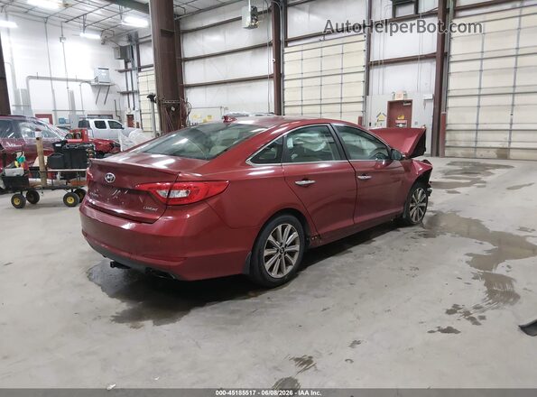 5NPE34AF5GH367397 2016 HYUNDAI SONATA Red Tył prawy