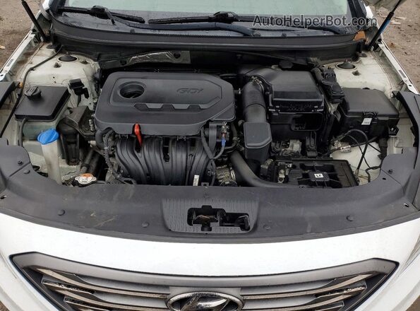 5NPE34AF5HH487735 2017 HYUNDAI SONATA White 