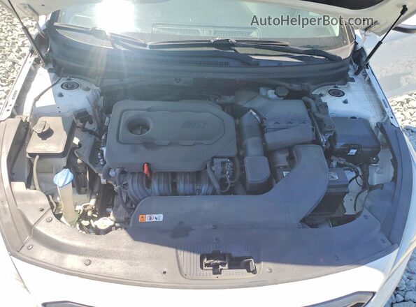 5NPE34AF6GH339186 2016 HYUNDAI SONATA White 