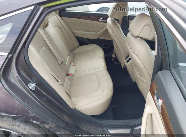 5NPE34AF6GH415103 2016 HYUNDAI SONATA Brown VIN sticker view