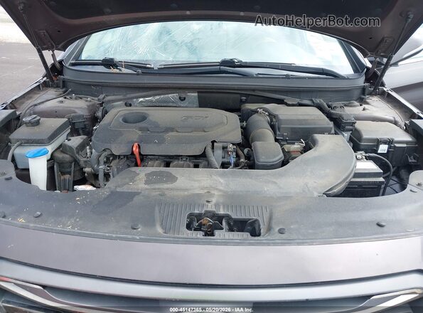 5NPE34AF6GH415103 2016 HYUNDAI SONATA Brown Rear view