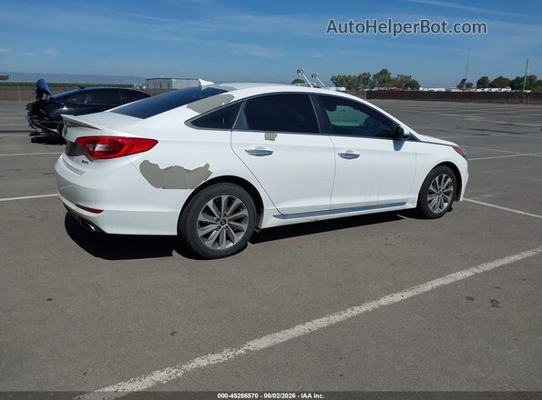 5NPE34AF6HH519317 2017 HYUNDAI SONATA White უკანა მარჯვენა