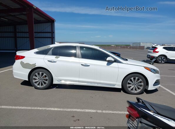 5NPE34AF6HH519317 2017 HYUNDAI SONATA White უკანა სალონის ხედი