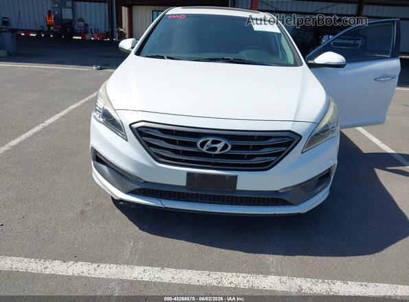 5NPE34AF6HH519317 2017 HYUNDAI SONATA White წინა ხედი