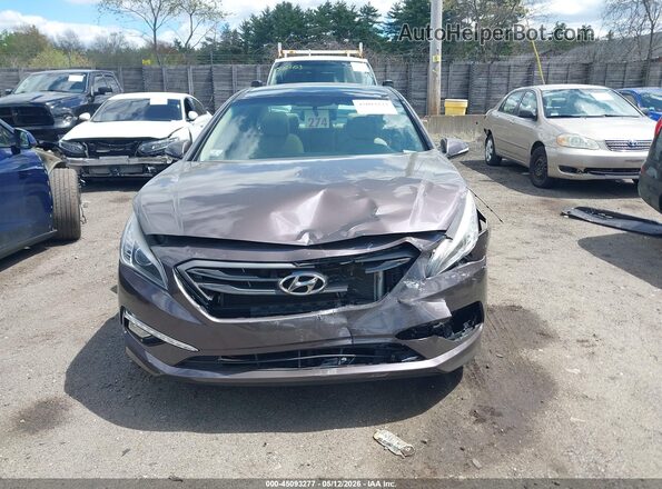5NPE34AF7GH424330 2016 HYUNDAI SONATA Brown Вид задньої частини салону