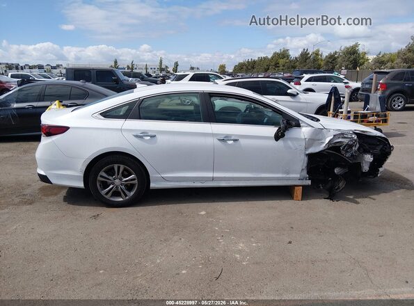 5NPE34AF7KH781628 2019 HYUNDAI SONATA White Սալոնի հետևի տեսք