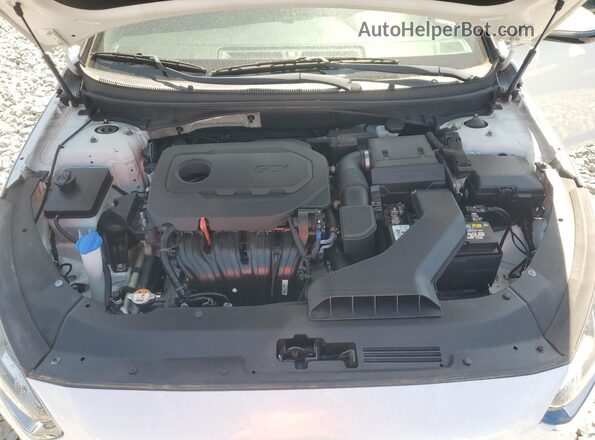 5NPE34AF8KH773182 2019 HYUNDAI SONATA Белый Вид задней части салона