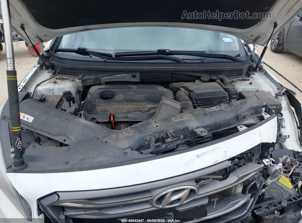 5NPE34AFXGH299873 2016 HYUNDAI SONATA White უკანა ხედი