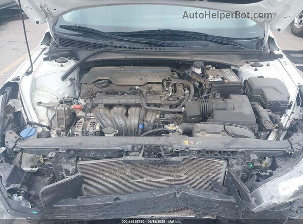 5NPLL4AG9MH032865 2021 HYUNDAI ELANTRA White Вид ззаду