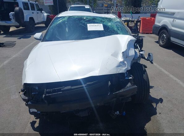 5NPLS4AG2PH087147 2023 HYUNDAI ELANTRA White Vista interior trasera
