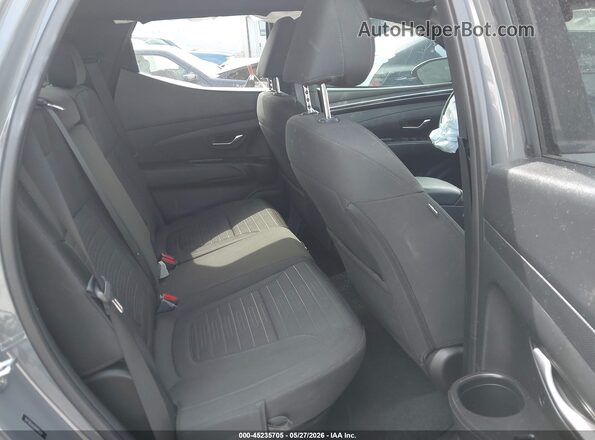 5NTJBDAE0PH041629 2023 HYUNDAI SANTA CRUZ Gray VIN կոդի պիտակի տեսք