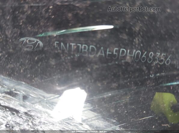 5NTJBDAE5PH068356 2023 HYUNDAI SANTA CRUZ Gray 