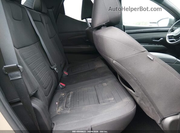 5NTJCDAE5PH056401 2023 HYUNDAI SANTA CRUZ Tan VIN կոդի պիտակի տեսք
