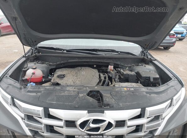5NTJCDAE9RH082826 2024 HYUNDAI SANTA CRUZ Gray Widok z tyłu