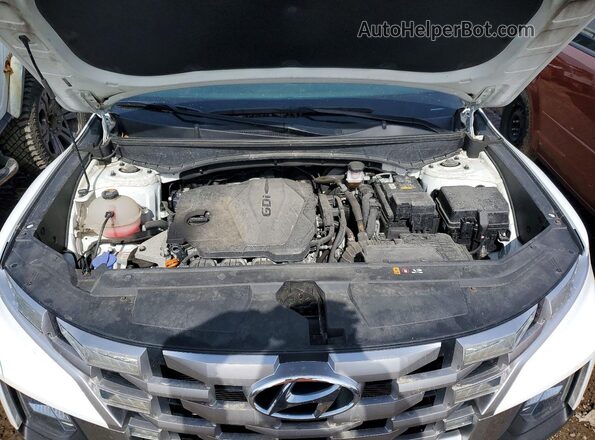 5NTJCDAEXNH038330 2022 HYUNDAI SANTA White 