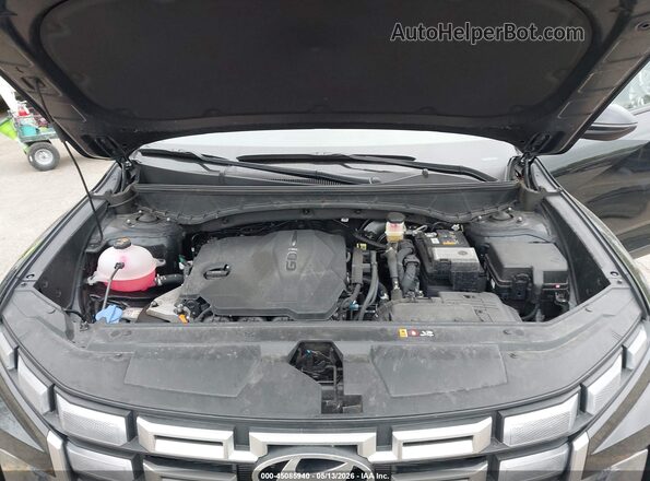 5NTJCDDEXSH135230 2025 HYUNDAI SANTA CRUZ Black Вид ззаду