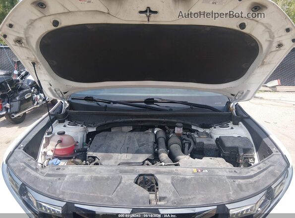 5NTJDDAF2RH098257 2024 HYUNDAI SANTA CRUZ White 