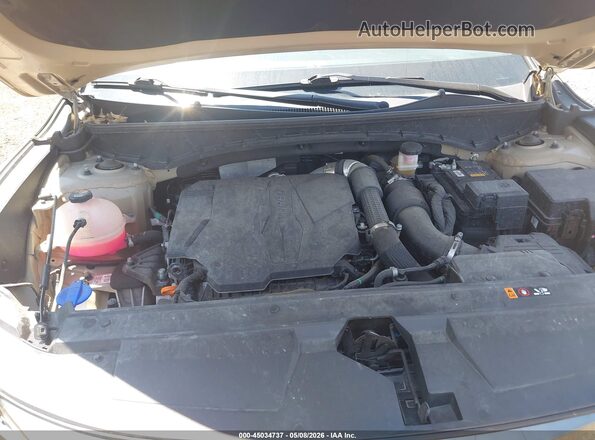 5NTJDDAF5RH099340 2024 HYUNDAI SANTA CRUZ Gold უკანა ხედი