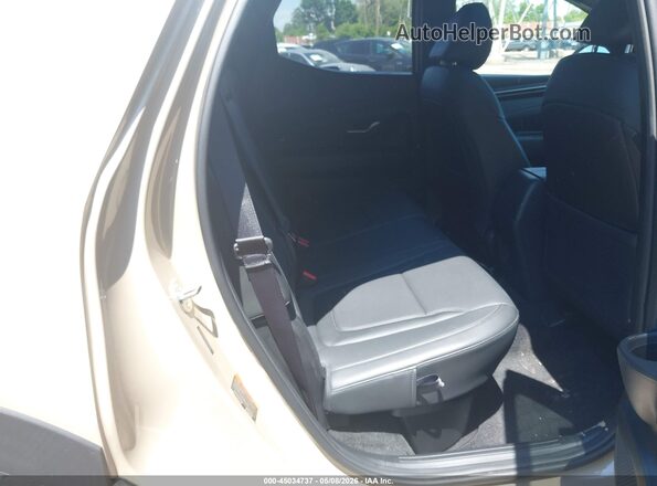 5NTJDDAF5RH099340 2024 HYUNDAI SANTA CRUZ Gold VIN კოდის სტიკერის ხედი