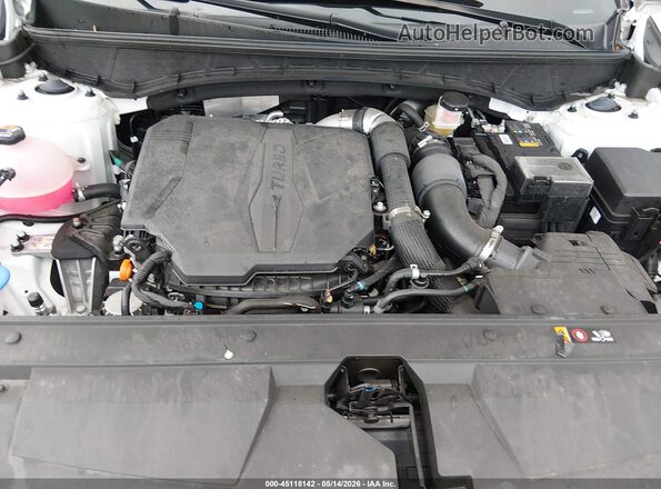 5NTJDDDF8RH108110 2024 HYUNDAI SANTA CRUZ Белый Вид сзади