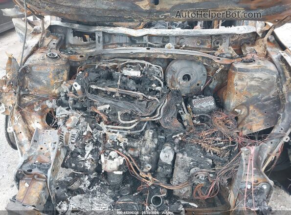 5NTJEDAF3RH099690 2024 HYUNDAI SANTA CRUZ Beige 