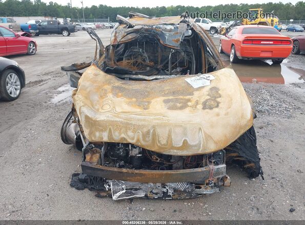 5NTJEDAF3RH099690 2024 HYUNDAI SANTA CRUZ Beige 