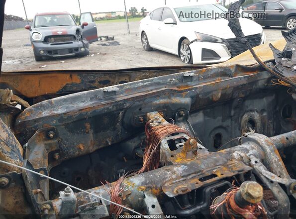 5NTJEDAF3RH099690 2024 HYUNDAI SANTA CRUZ Beige 