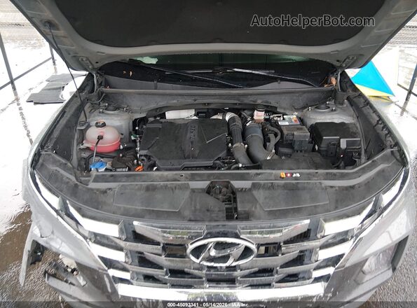 5NTJEDAF8RH086403 2024 HYUNDAI SANTA CRUZ Gray 